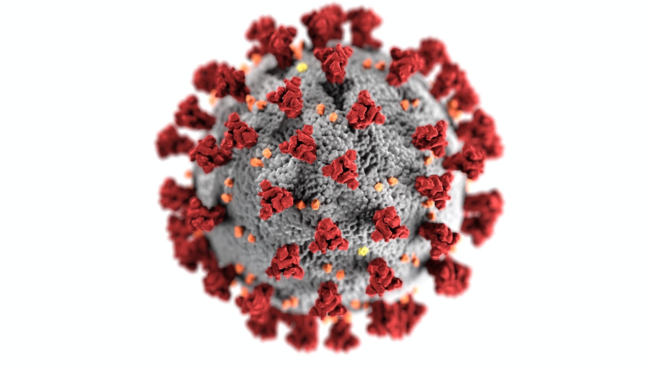 Coronavirus đột biến